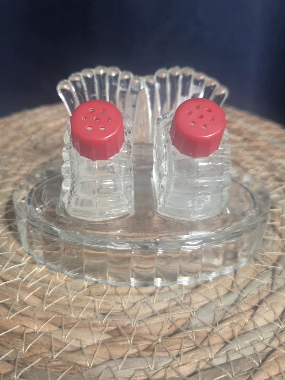 Vintage Turkey Tail Tray with Glass Mini Salt & Pepper Shakers Red Tops Bin W